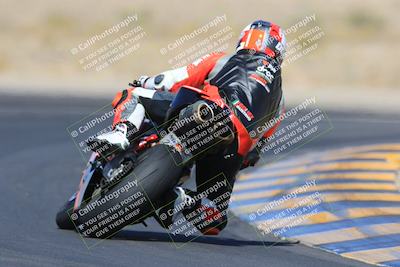 media/May-13-2023-SoCal Trackdays (Sat) [[8a473a8fd1]]/Turn 11 Backside (945am)/